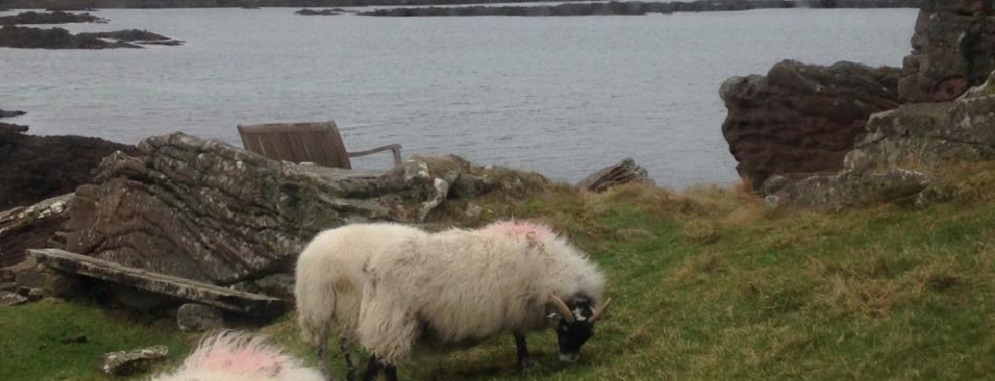 Pier Cottage, Applecross Self Catering Cottage, Highlands, Scotland